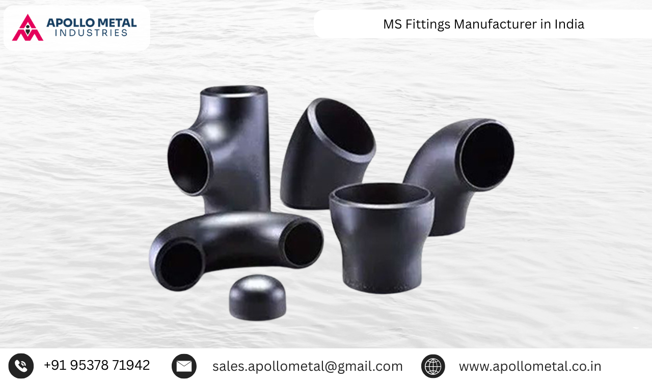 MS Fittings Manufacturer in India