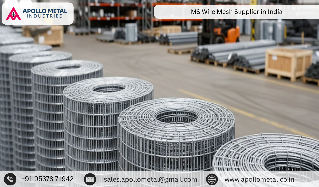 MS Wire Mesh Supplier in India