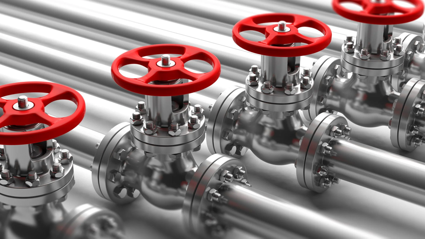 Stainless Steel Valve